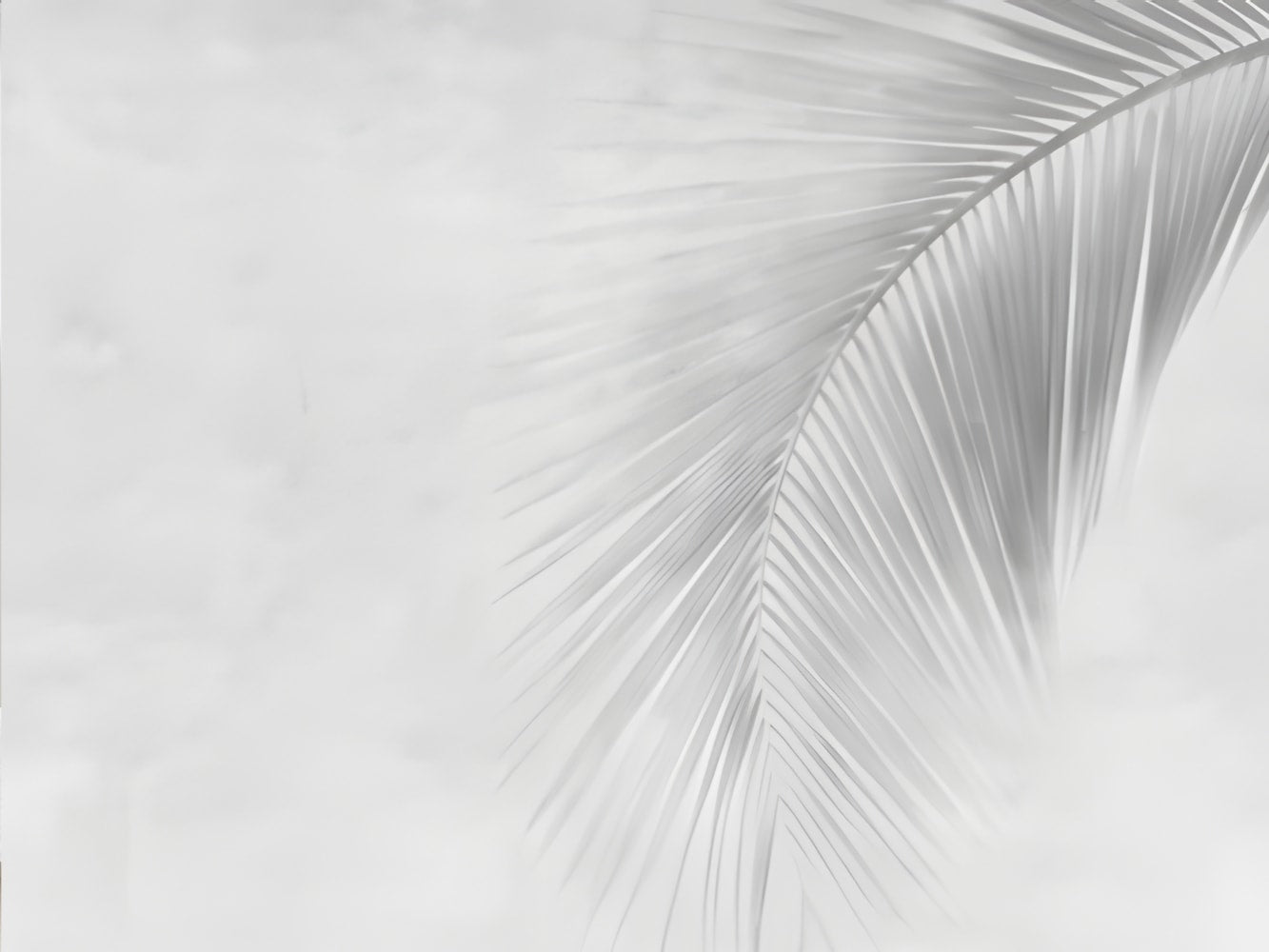 forest wallpaper for walls forest wallpaper for walls