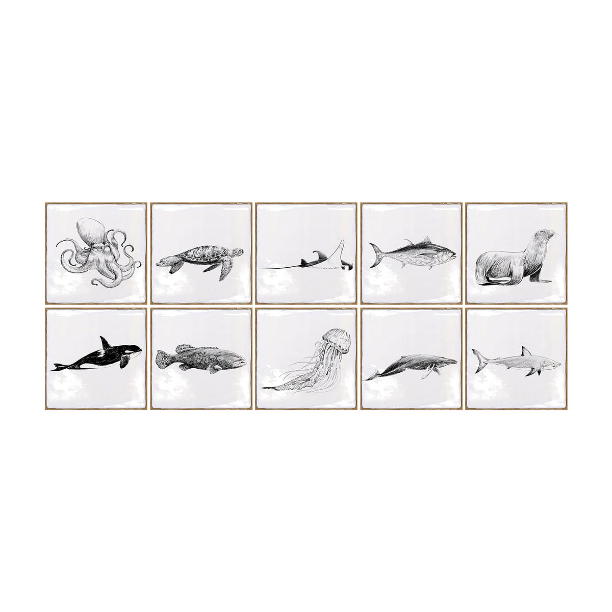 White with Sea Creature Square Nature Tile Stickers