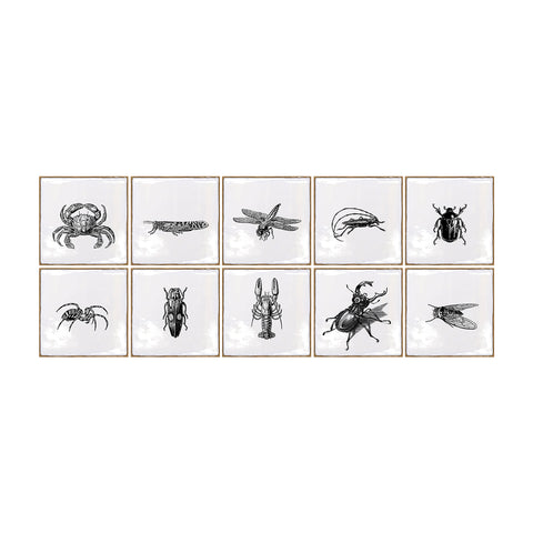 White with Insect Square Nature Tile Stickers