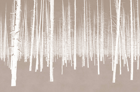 Simple White Trees Forest Wallpaper